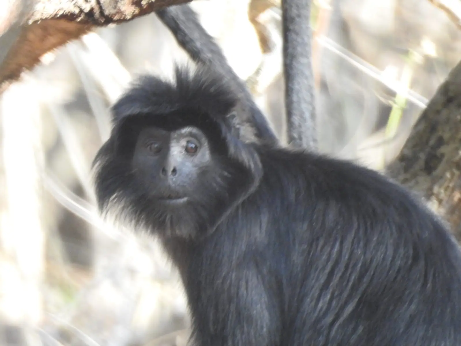 Read more about the article West Bali National Park Tour